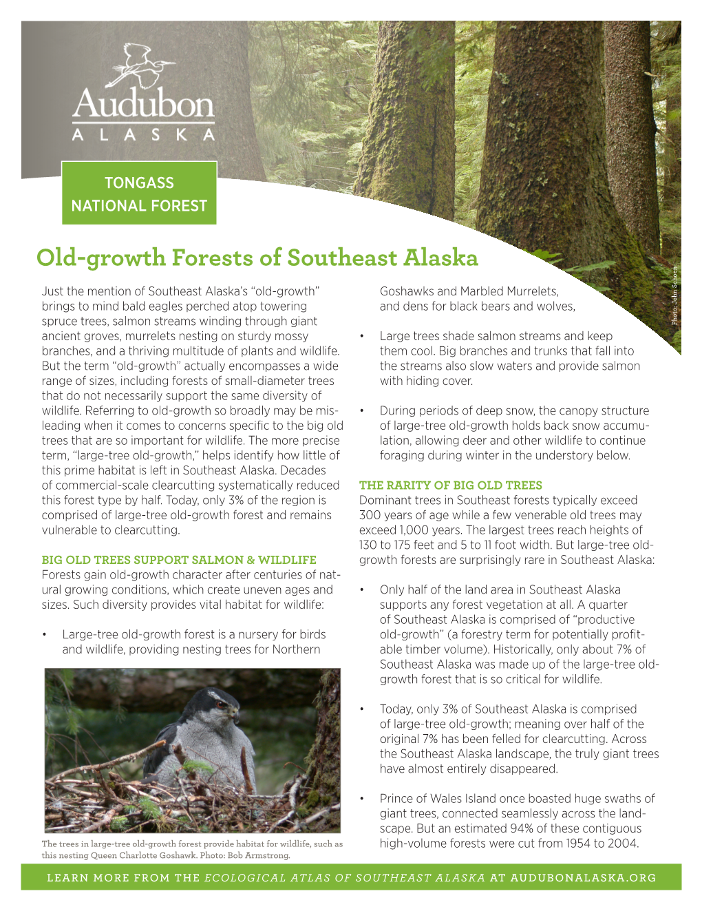 Old-Growth Forests of Southeast Alaska