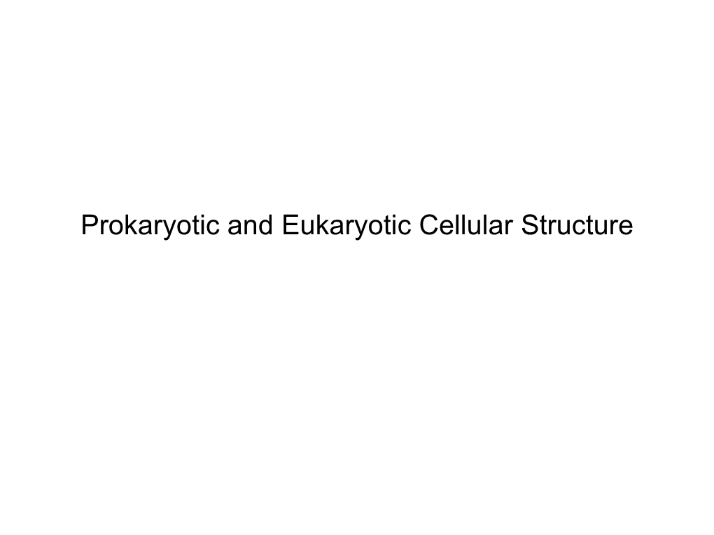 Prokaryotic and Eukaryotic Cellular Structure Prokaryotic & Eukaryotic Cells: an Overview