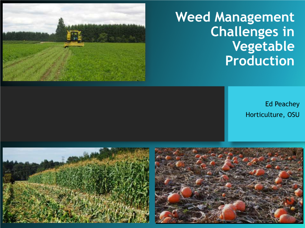 Weed Management Challenges in Vegetable Production