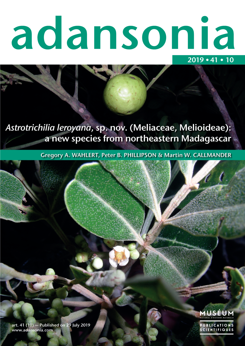 Astrotrichilia Leroyana, Sp. Nov. (Meliaceae, Melioideae): a New Species from Northeastern Madagascar