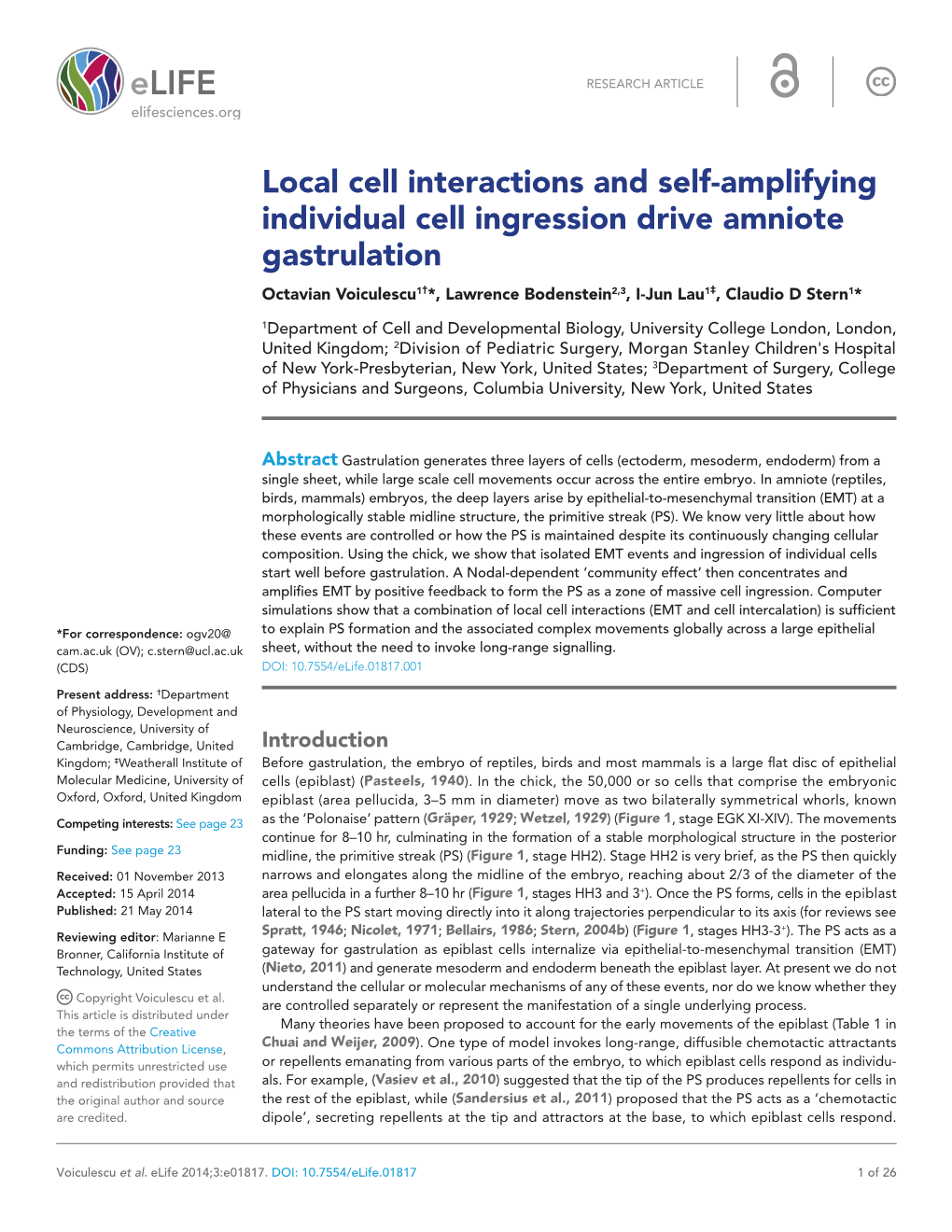 Local Cell Interactions and Self-Amplifying Individual Cell