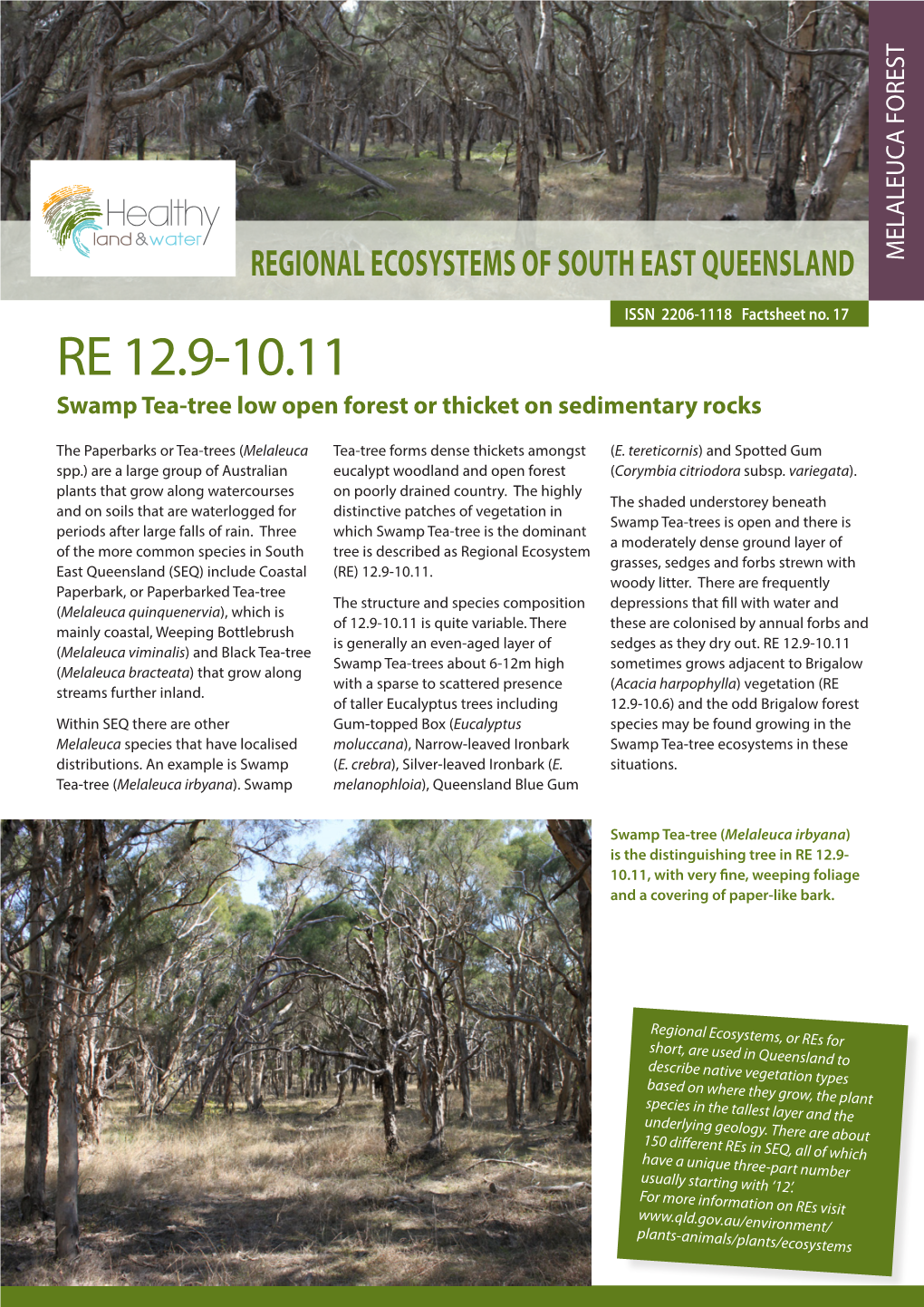RE 12.9-10.11 Swamp Tea-Tree Low Open Forest Or Thicket on Sedimentary Rocks