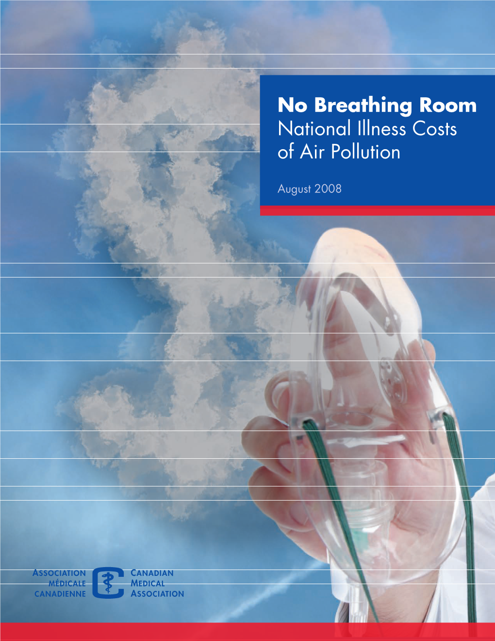 National Illness Cost of Air Pollution Summary Report