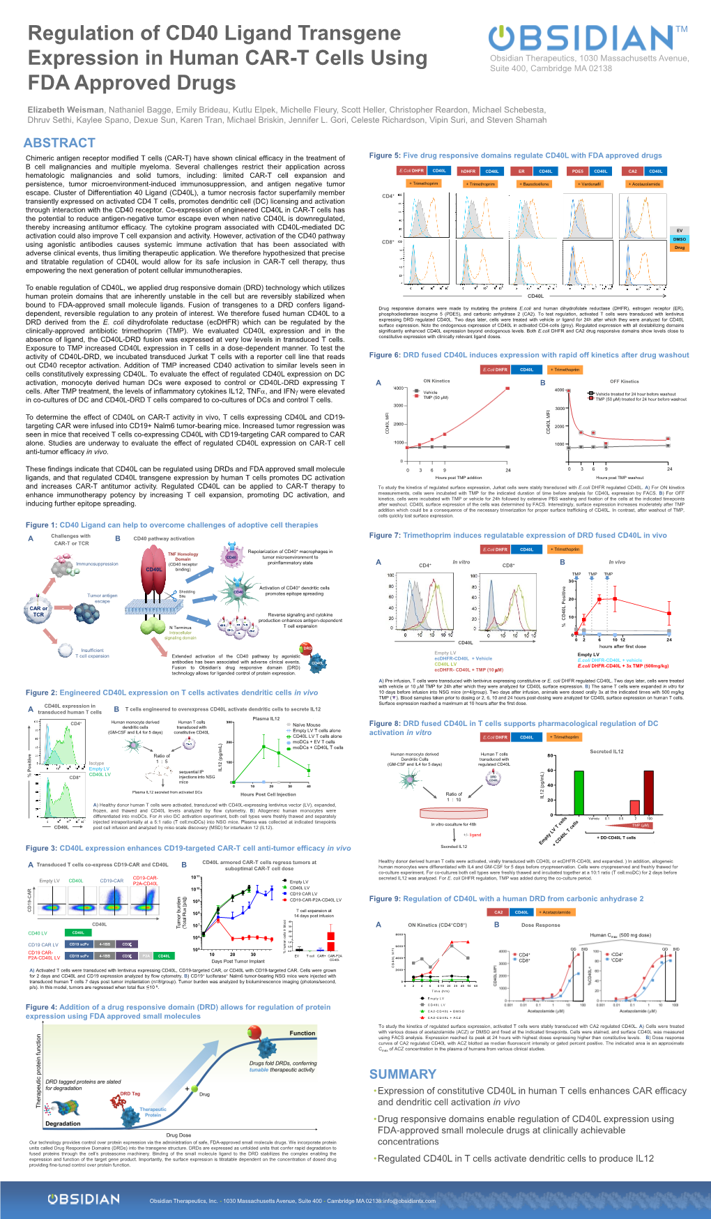 Regulation of CD40 Ligand Transgene Expression in Human