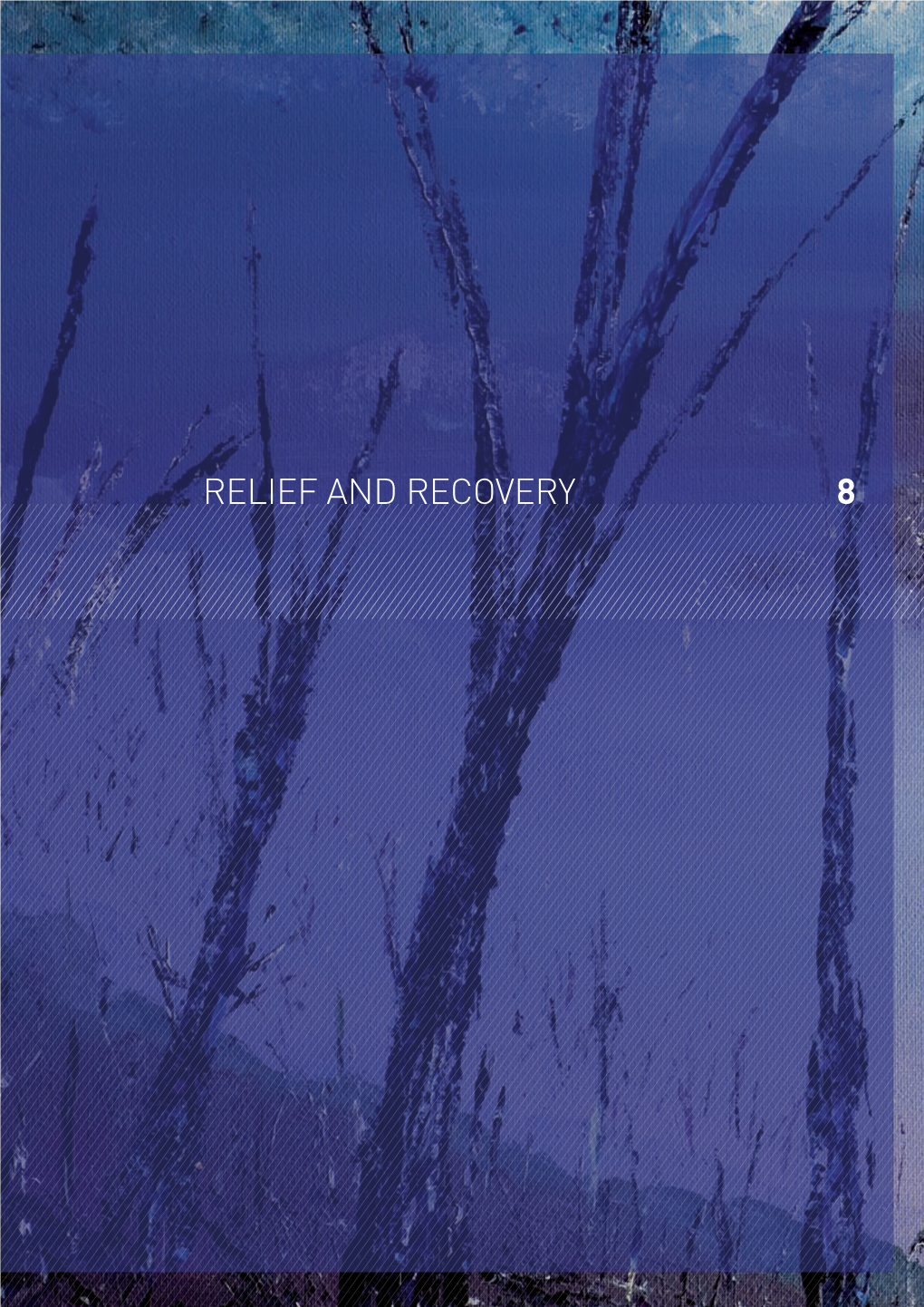 Ch 8 Relief and Recovery 2086 Kb