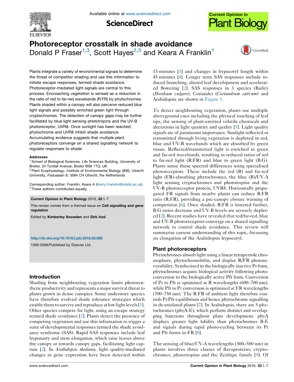 Photoreceptor Crosstalk in Shade Avoidance