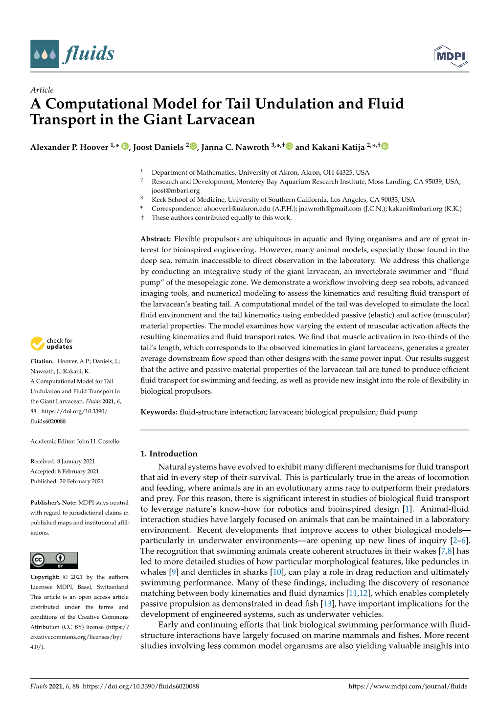 A Computational Model for Tail Undulation and Fluid Transport in the Giant Larvacean