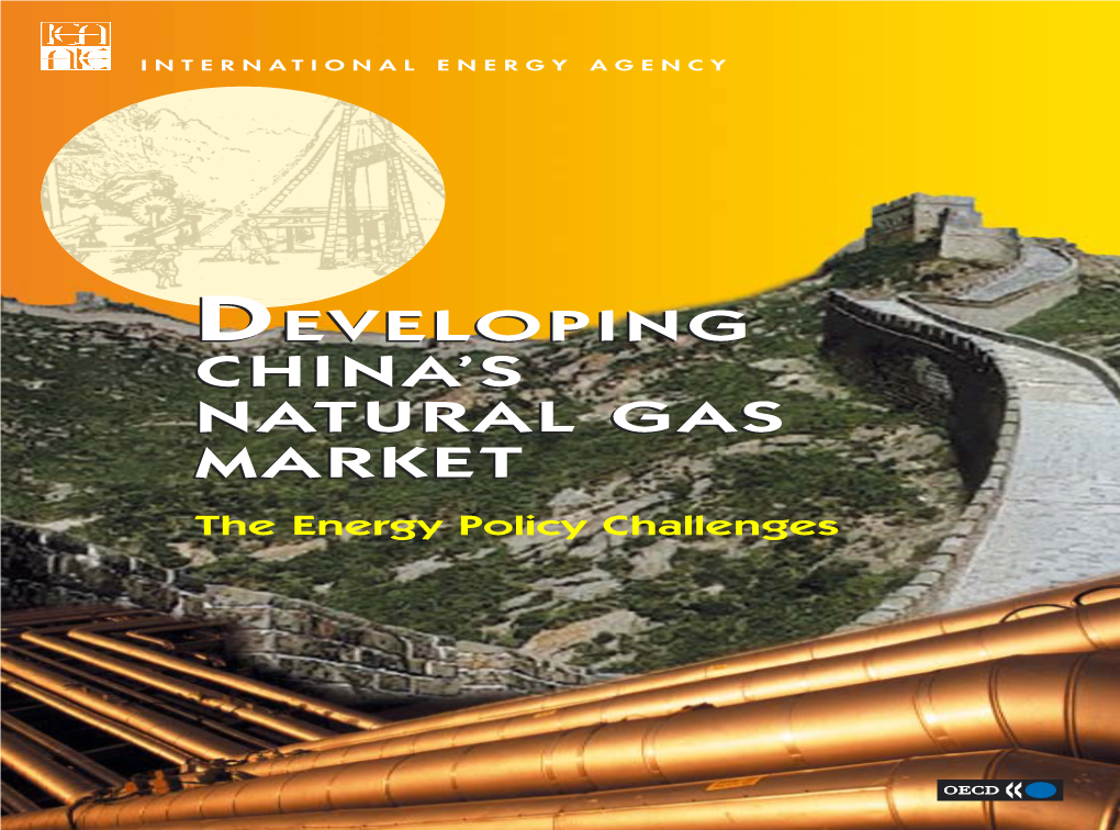 2 China's Natural Gas Market