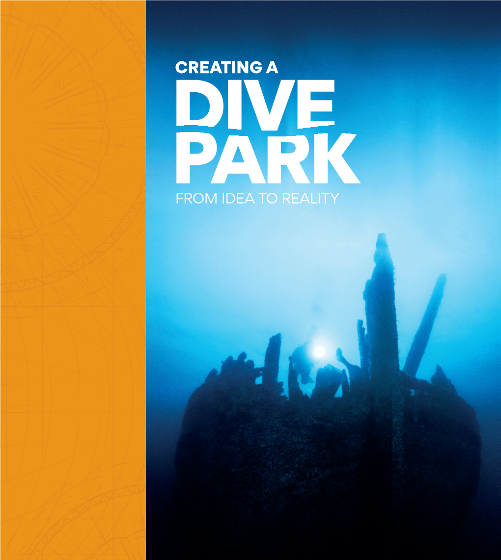 From Dive Ban to Dive Park