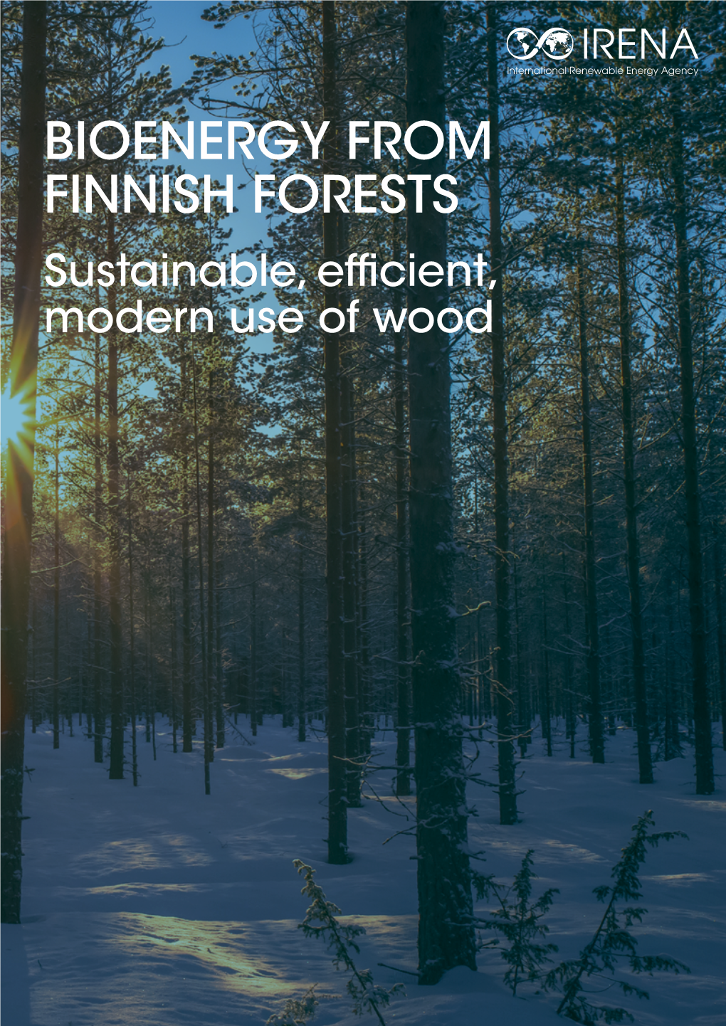 Bioenergy from Finnish Forests: Sustainable, Efficient, Modern Use