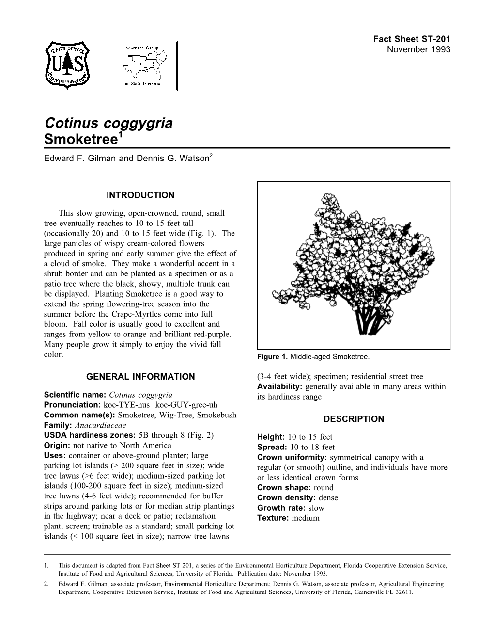 Cotinus Coggygria Smoketree1 Edward F