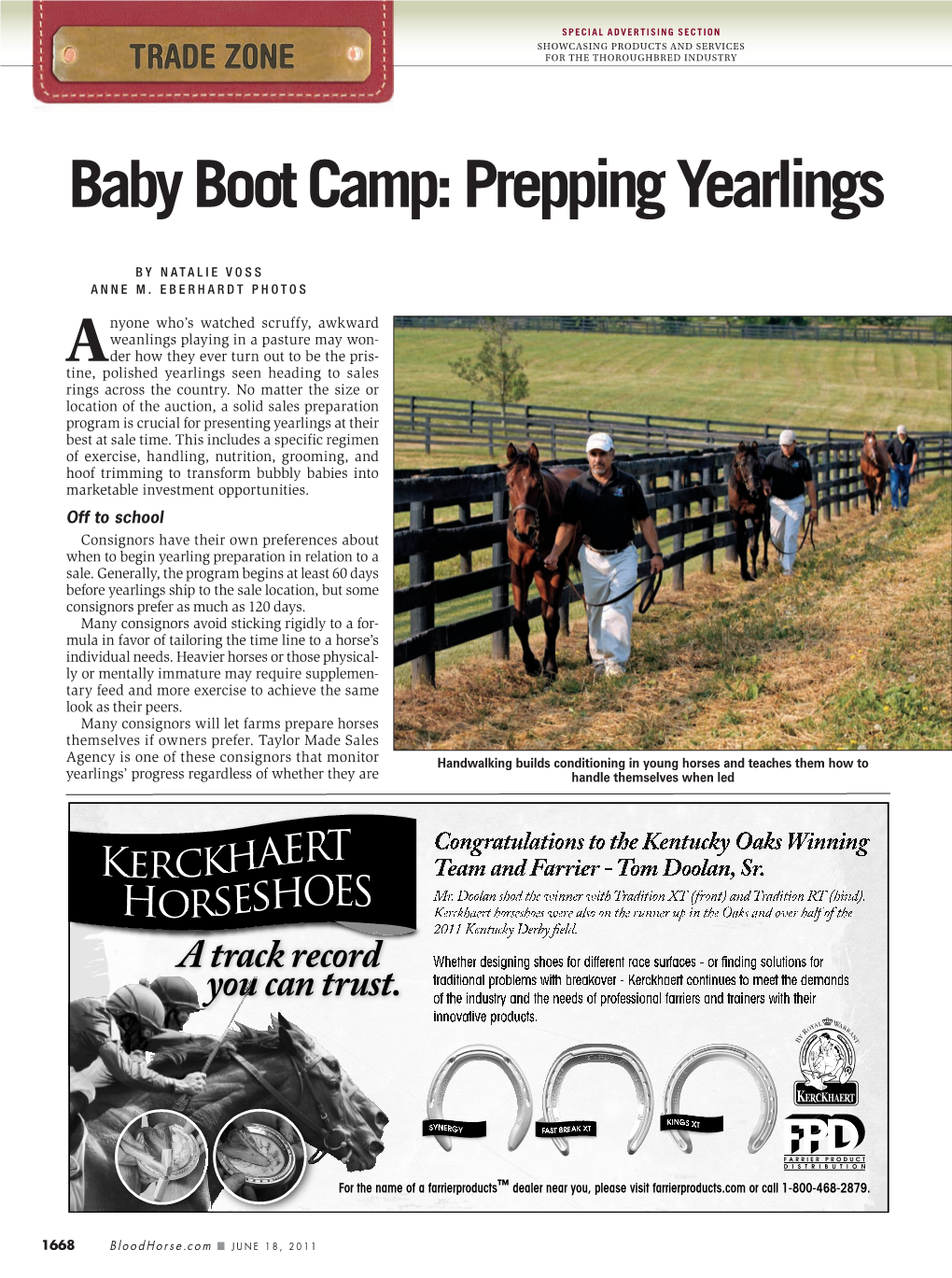 Baby Boot Camp: Prepping Yearlings