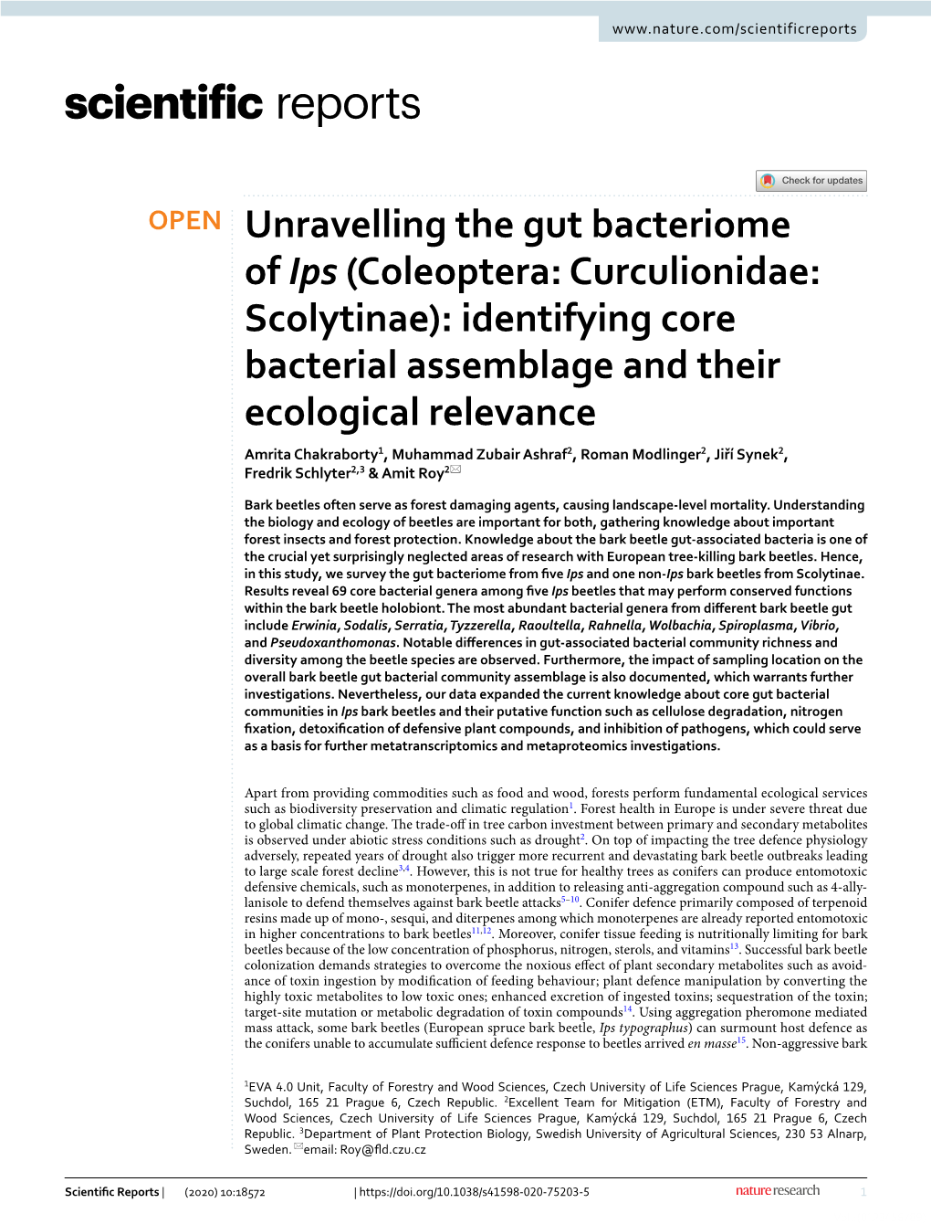 Unravelling the Gut Bacteriome of Ips (Coleoptera: Curculionidae