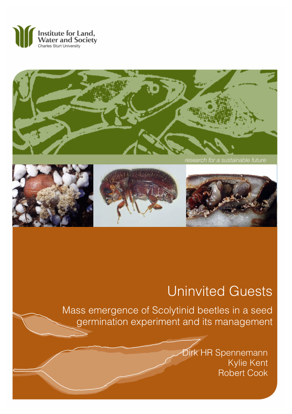 Mass Emergence of Scolytinid Beetles in a Seed Germination Experiment and Its Management