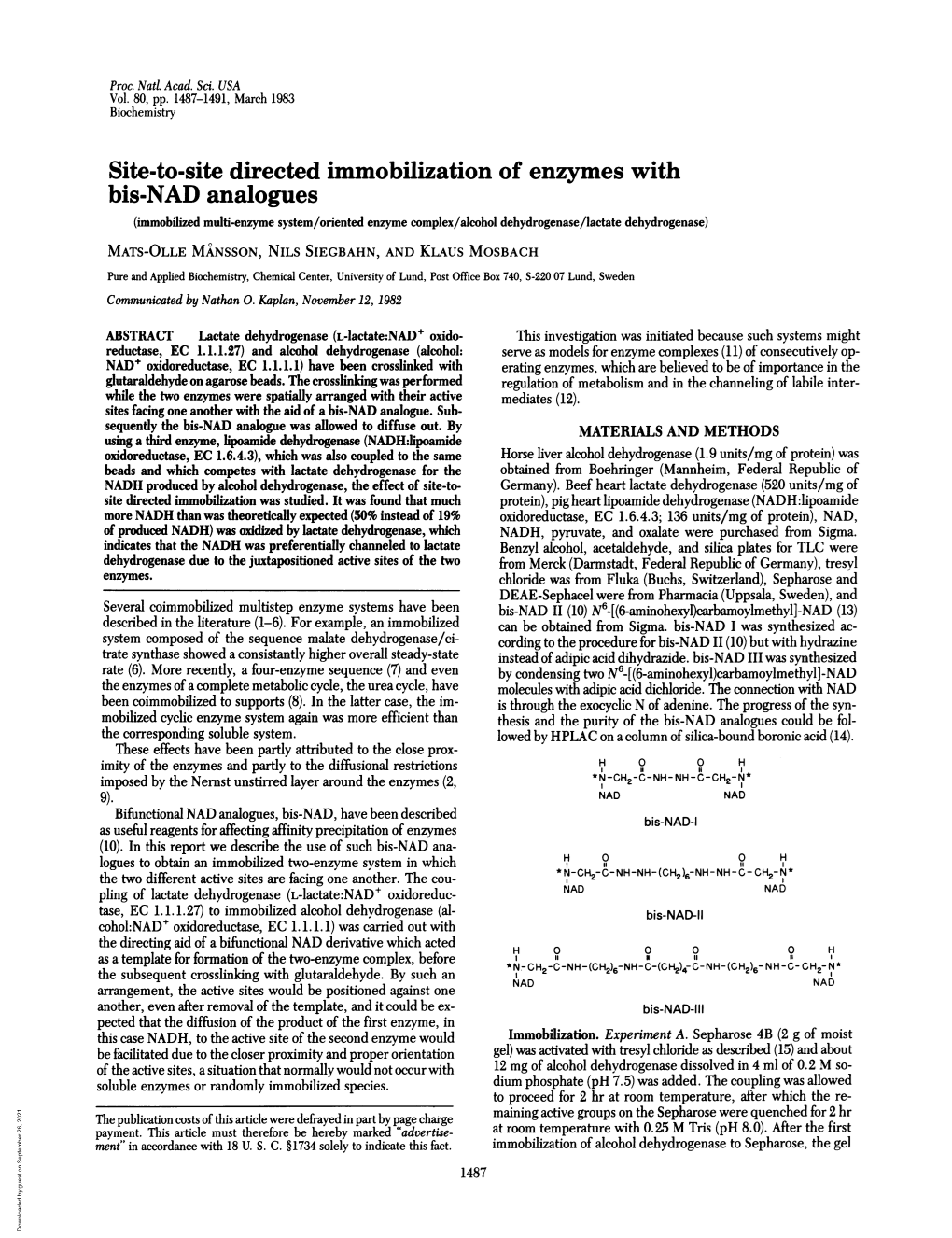 Site-To-Site Directed Immobilization of Enzymes with Bis-NAD Analogues