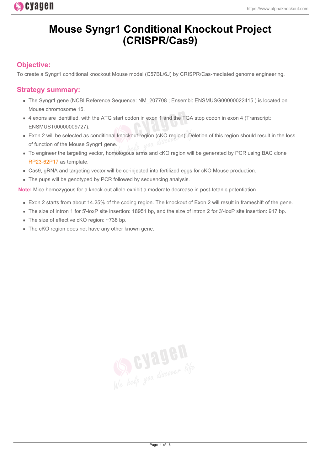 Mouse Syngr1 Conditional Knockout Project (CRISPR/Cas9)