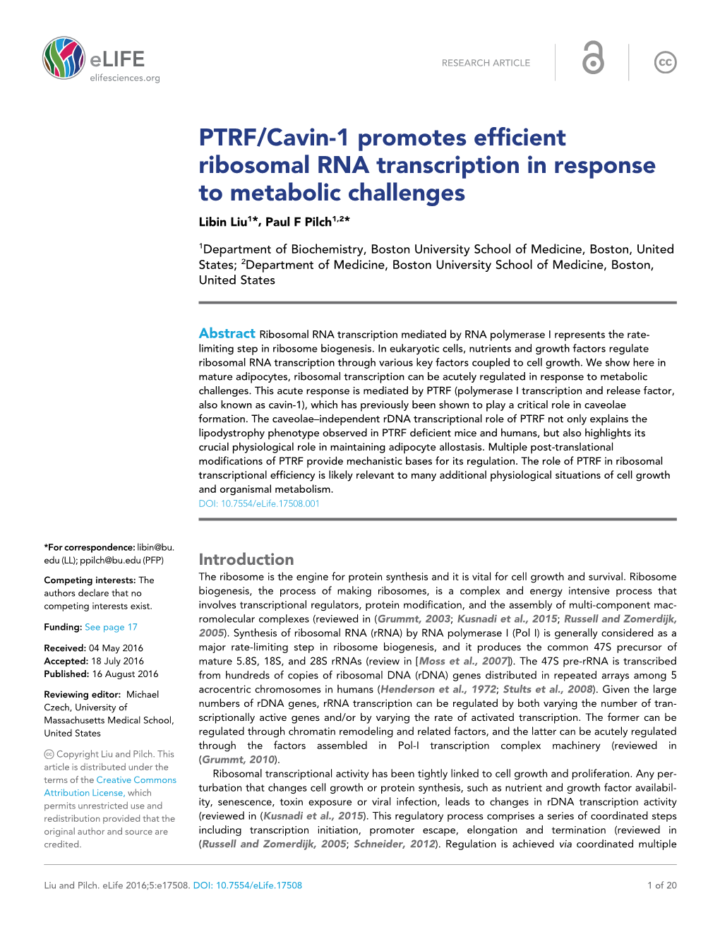PTRF/Cavin-1 Promotes Efficient Ribosomal RNA Transcription in Response to Metabolic Challenges Libin Liu1*, Paul F Pilch1,2*