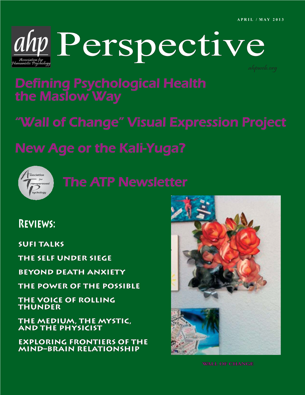 AHP Perspective April May 2013.Indd