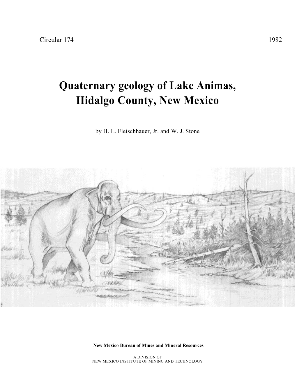 Quaternary Geology of Lake Animas, Hidalgo County, New Mexico