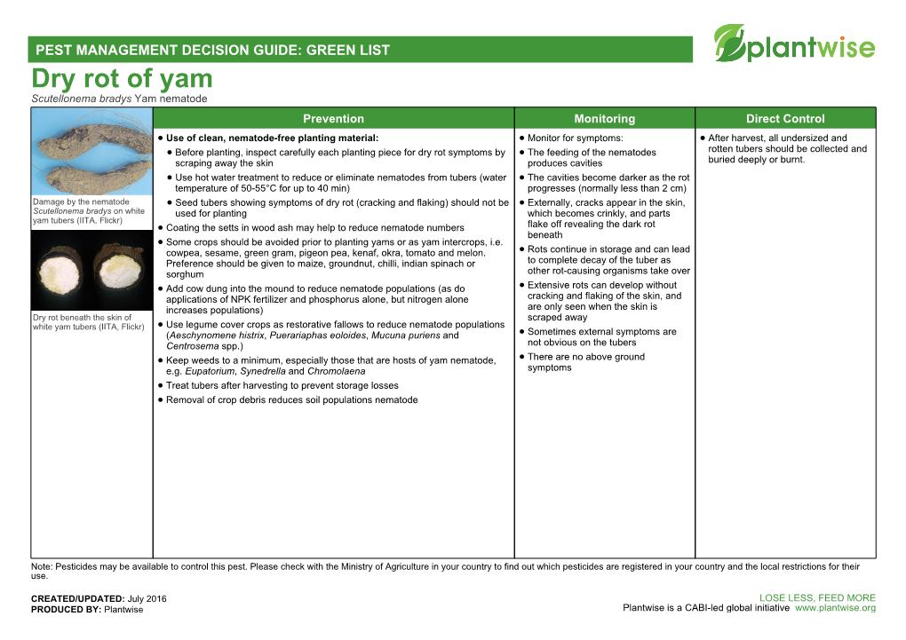 Dry Rot of Yam Scutellonema Bradys Yam Nematode Prevention Monitoring Direct Control