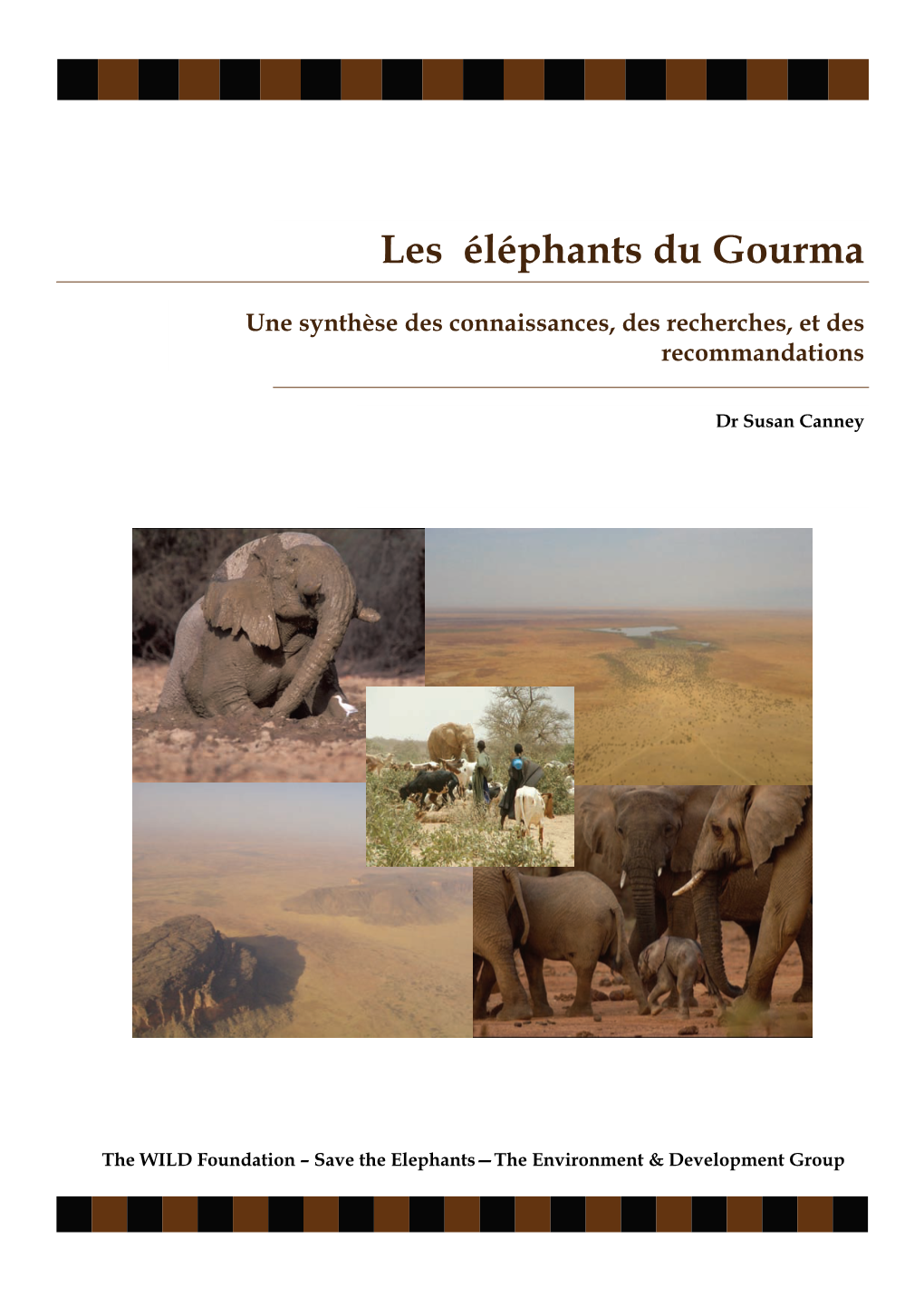 Les Éléphants Du Gourma