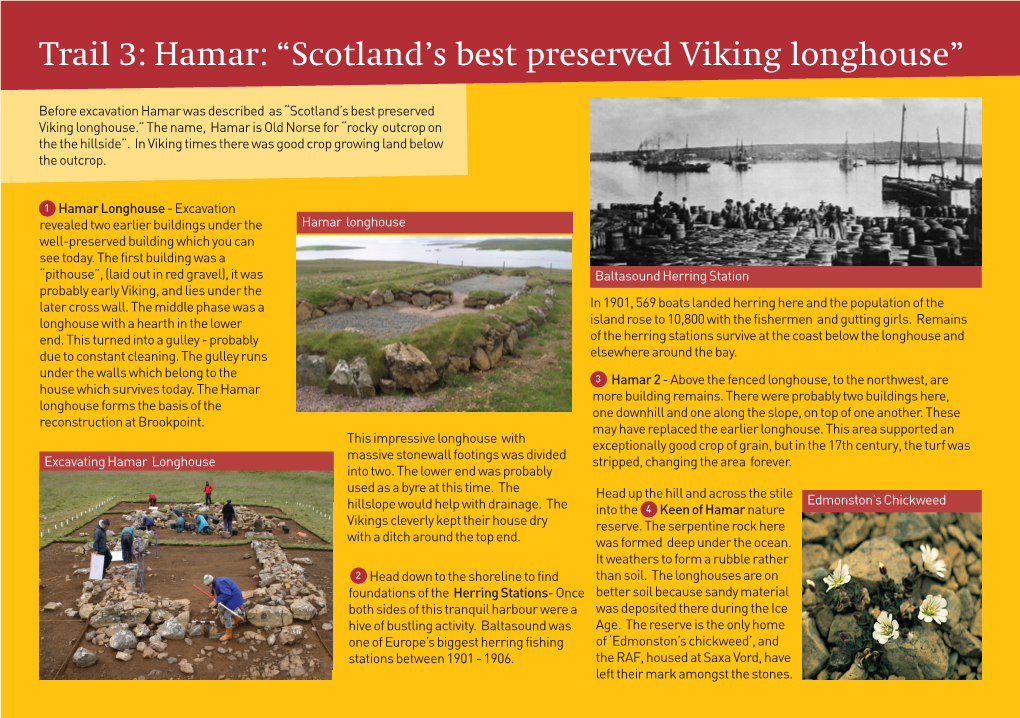 Hamar: “Scotland’S Best Preserved Viking Longhouse”