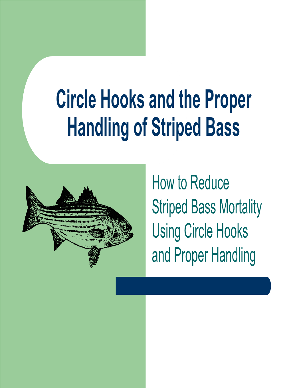 Circle Hooks and Striped Bass