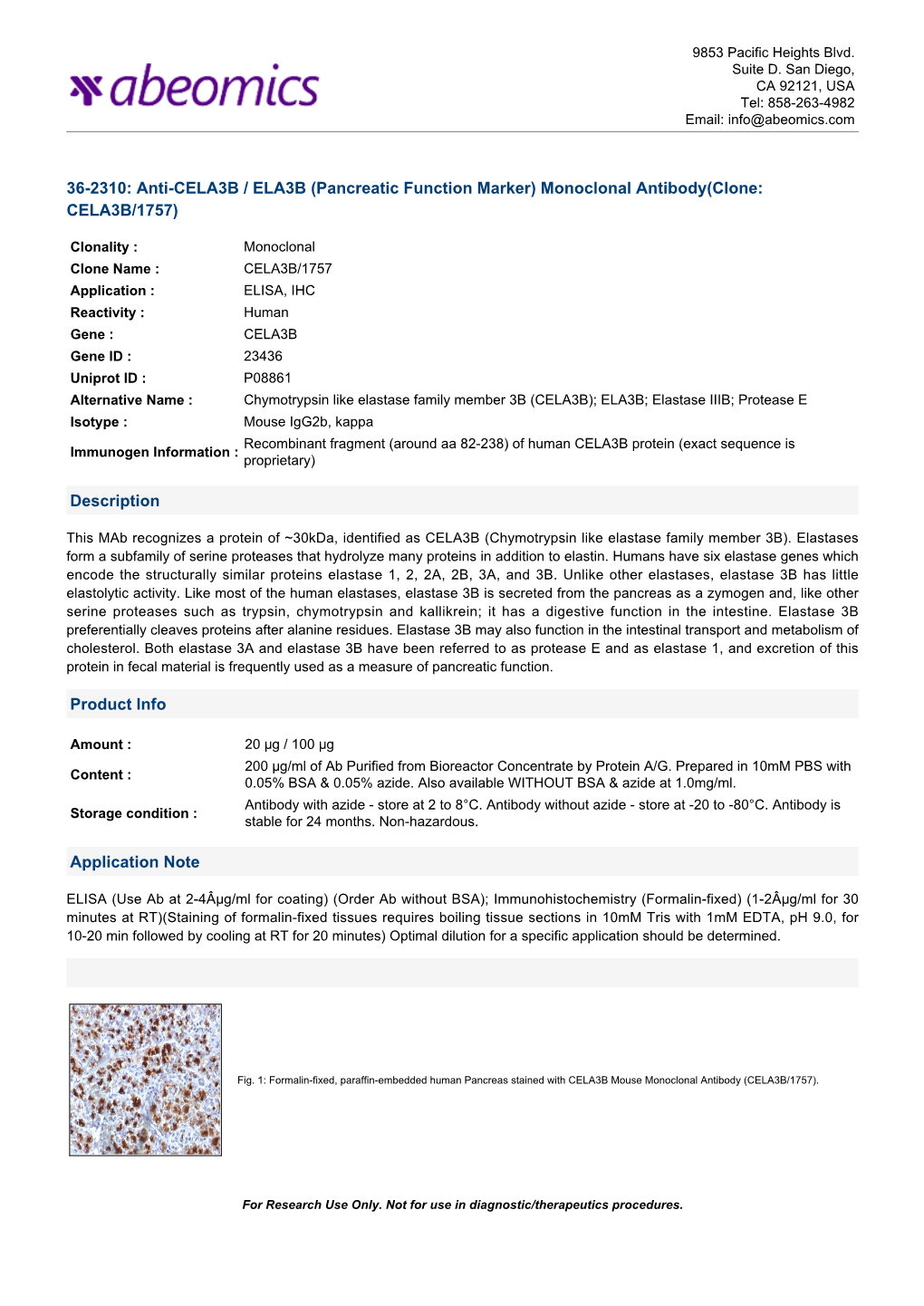 Monoclonal Antibody(Clone: CELA3B/1757)