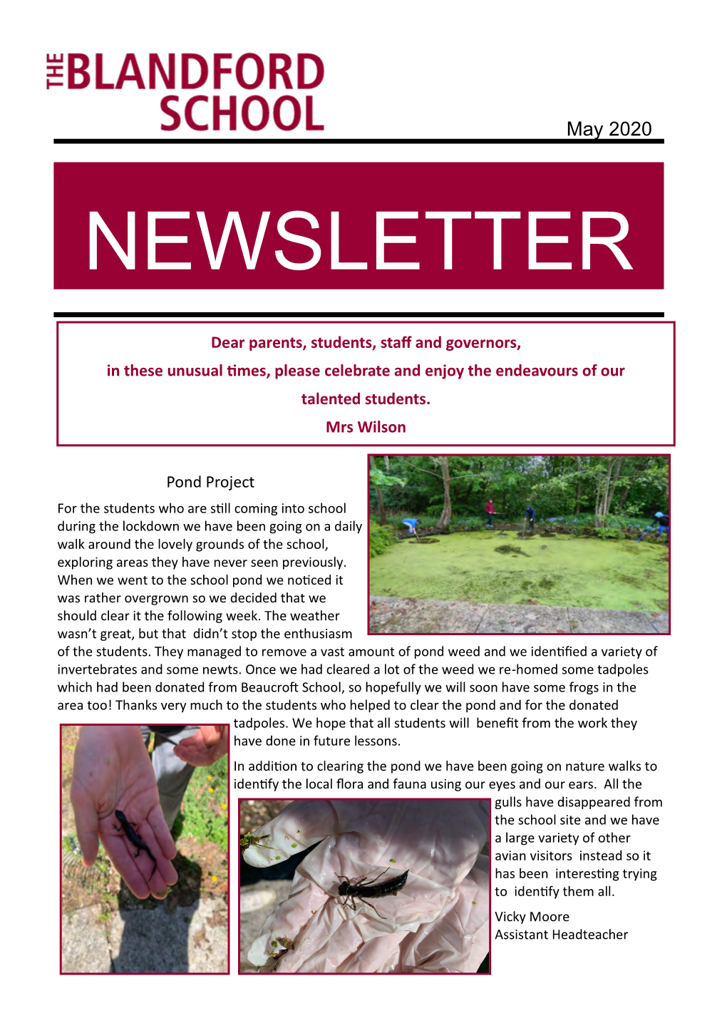 Newsletter Sletter