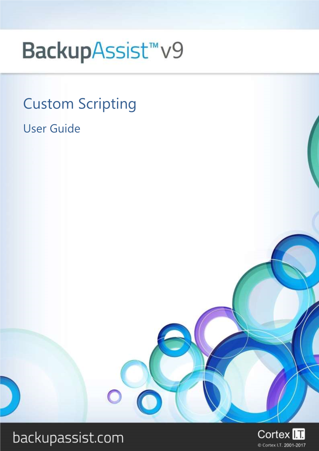 Custom Scripting User Guide