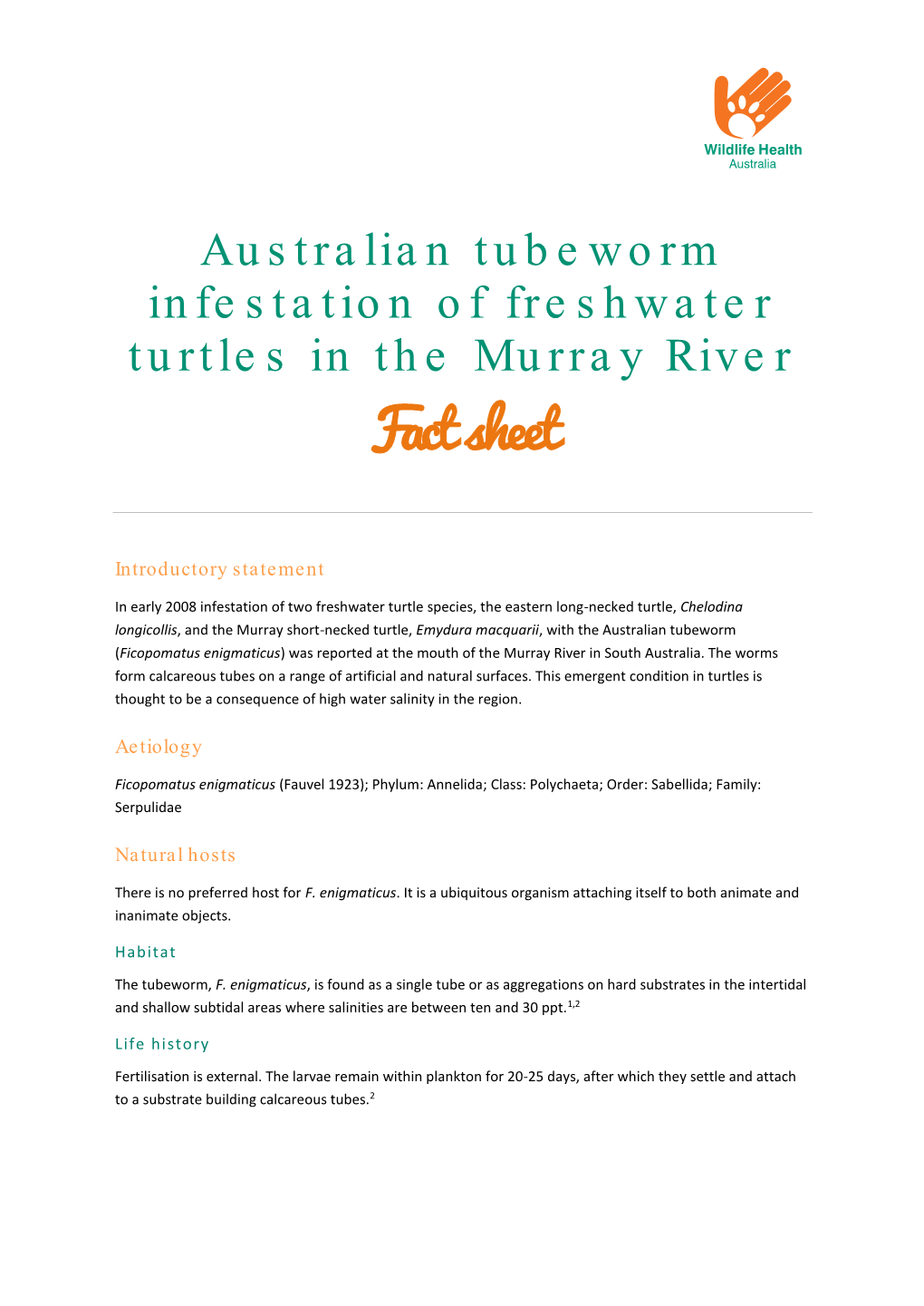 Tubeworm Infestation of Australian Freshwater Turtles Jan 2010