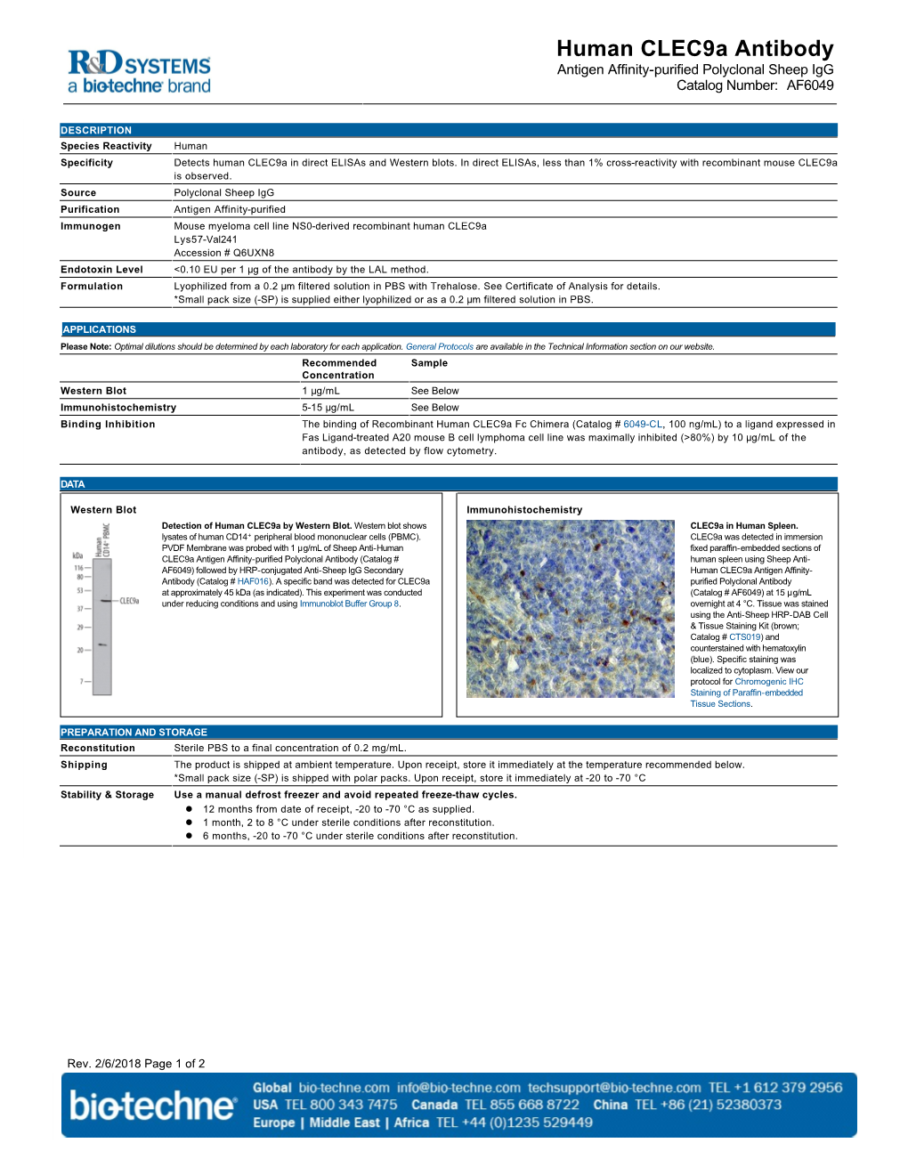 Human Clec9a Antibody Antigen Affinity-Purified Polyclonal Sheep Igg Catalog Number: AF6049