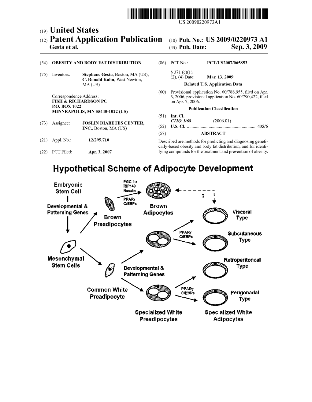 N O Type Mesenchymal 1