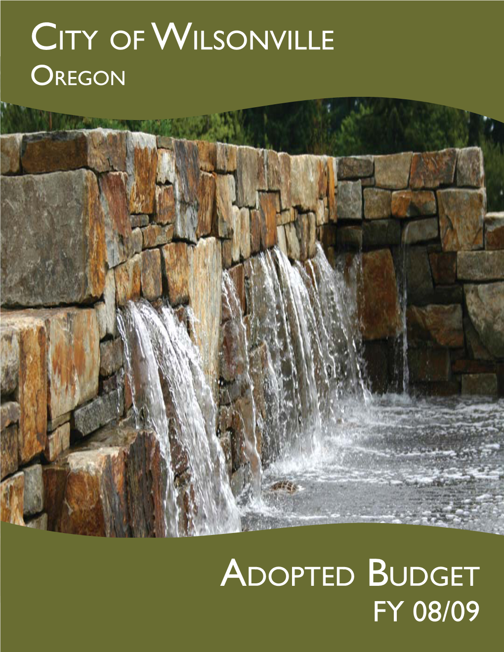 Adopted Budget 2008-2009