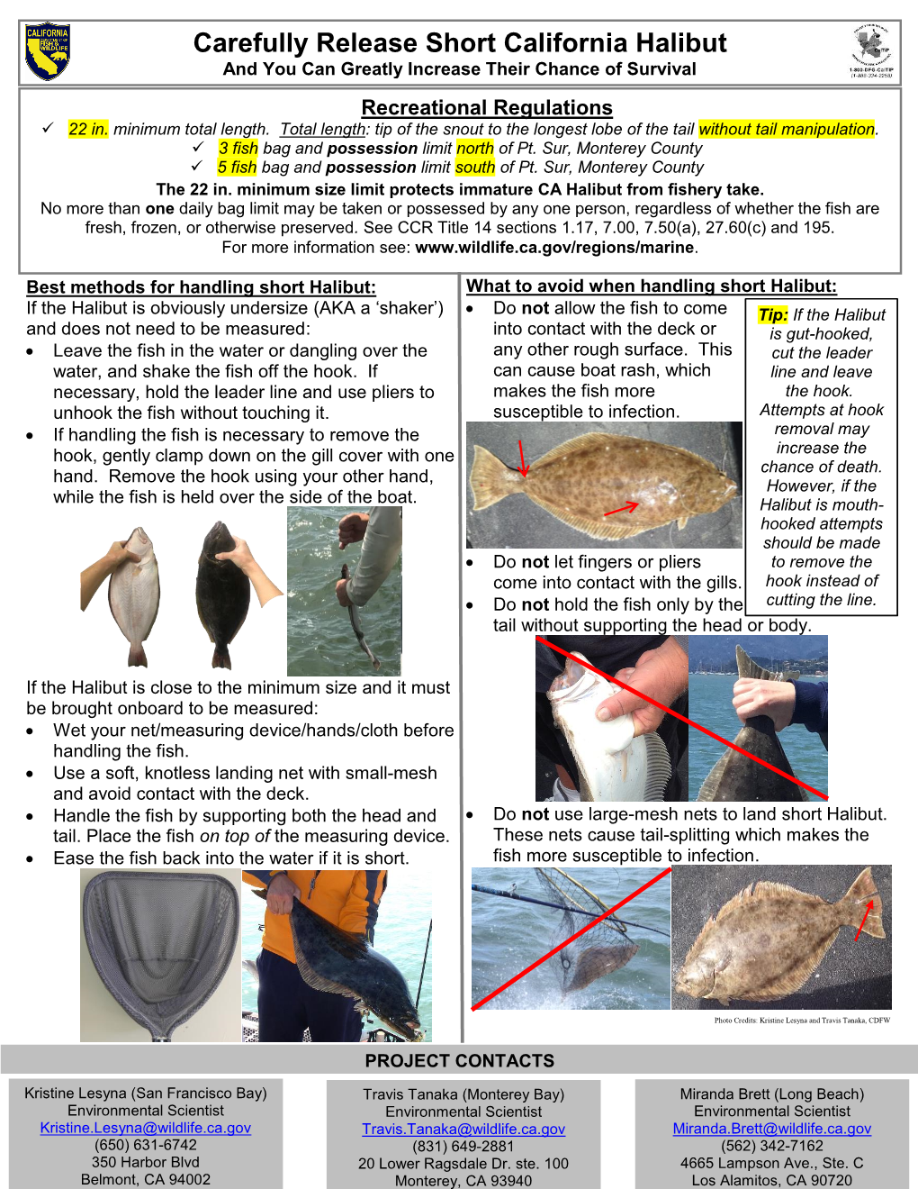 Carefully Release Short California Halibut and You Can Greatly Increase Their Chance of Survival Recreational Regulations  22 In