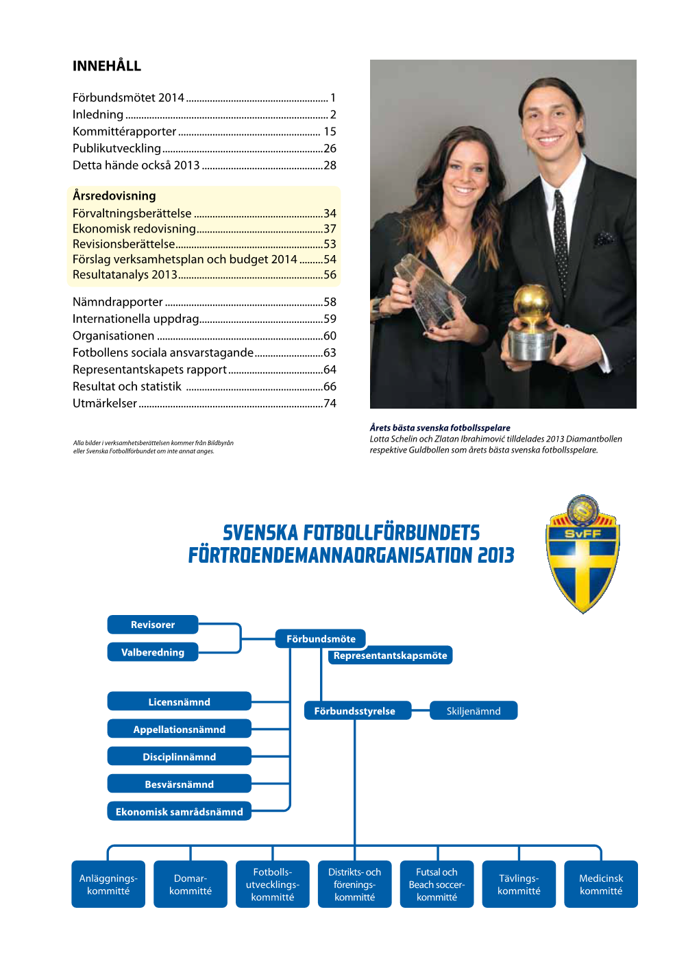 Svff Verksamhetsberättelse 2013