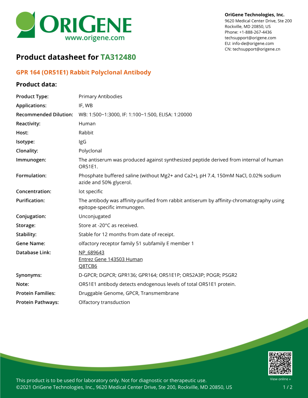 GPR 164 (OR51E1) Rabbit Polyclonal Antibody – TA312480 | Origene