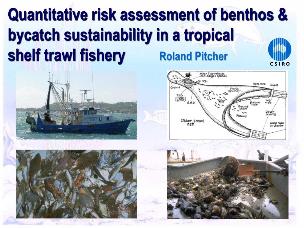 Quantitative Risk Assessment of Benthos & Bycatch Sustainability In