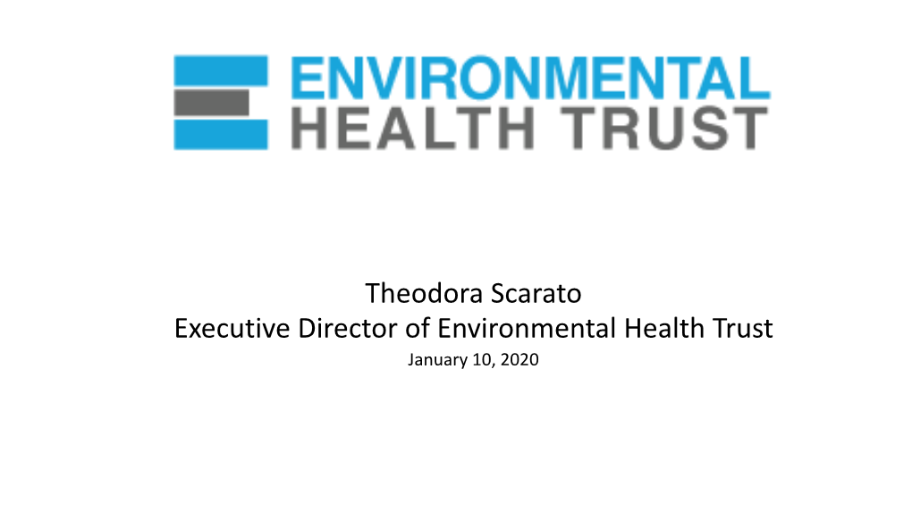 Theodora Scarato, Environmental Health, Presentation