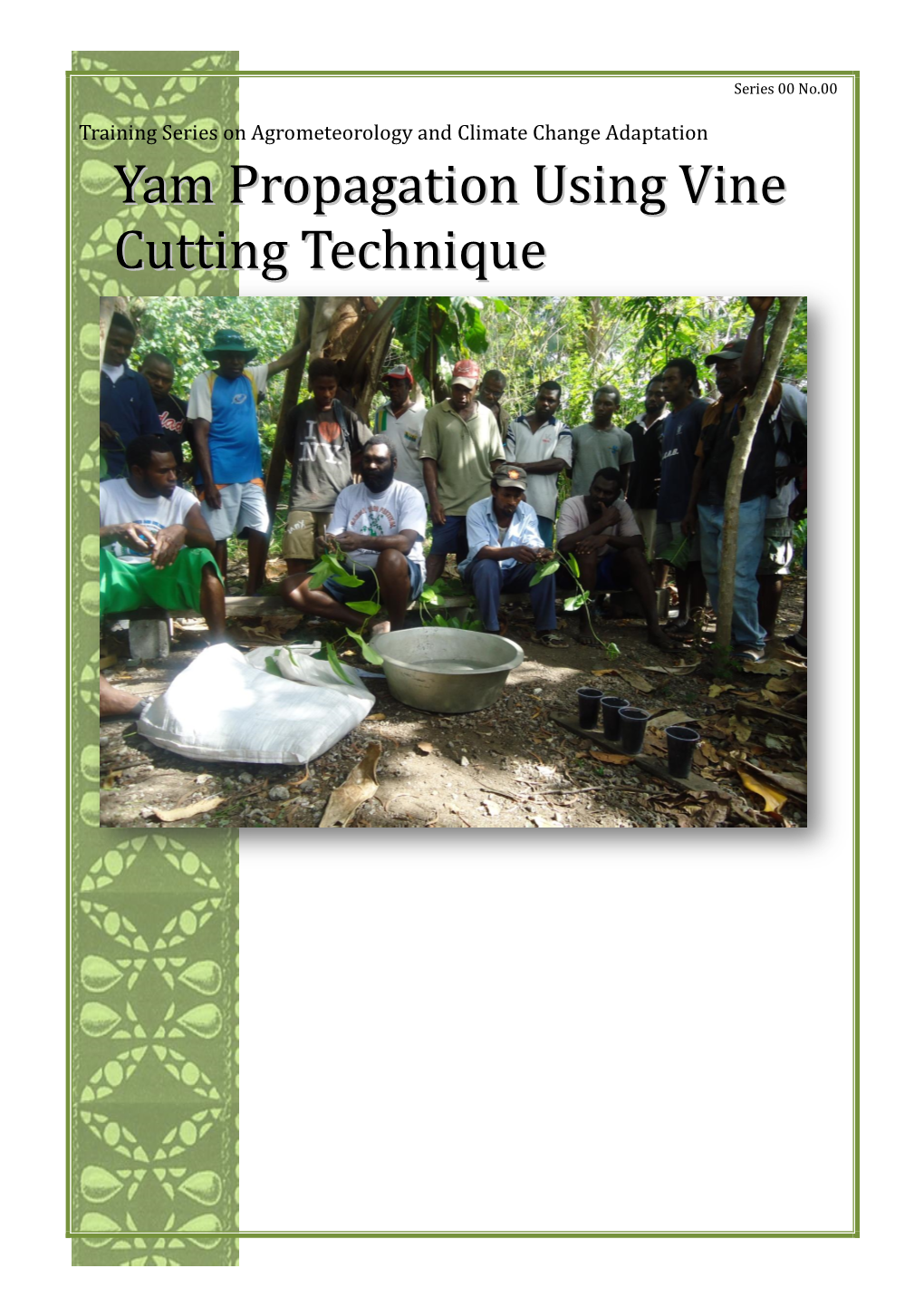 Yam Propagation Using Vine Cutting Technique