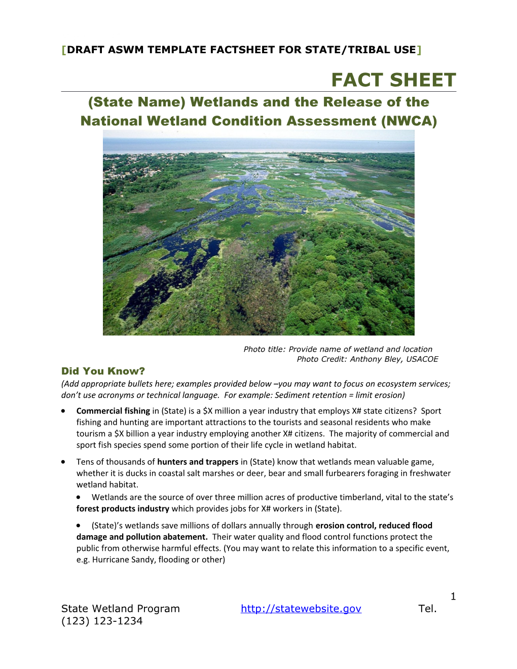 Draft Aswm Template Factsheet for State/Tribal Use