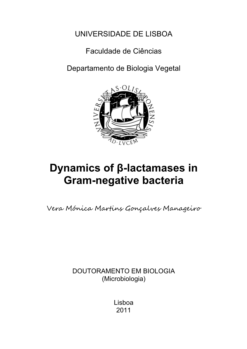 Dynamics of Β-Lactamases in Gram-Negative Bacteria