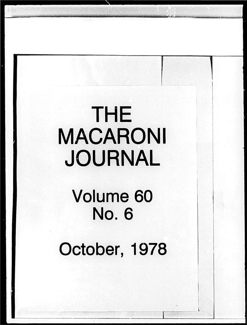 The Macaaoni Journal