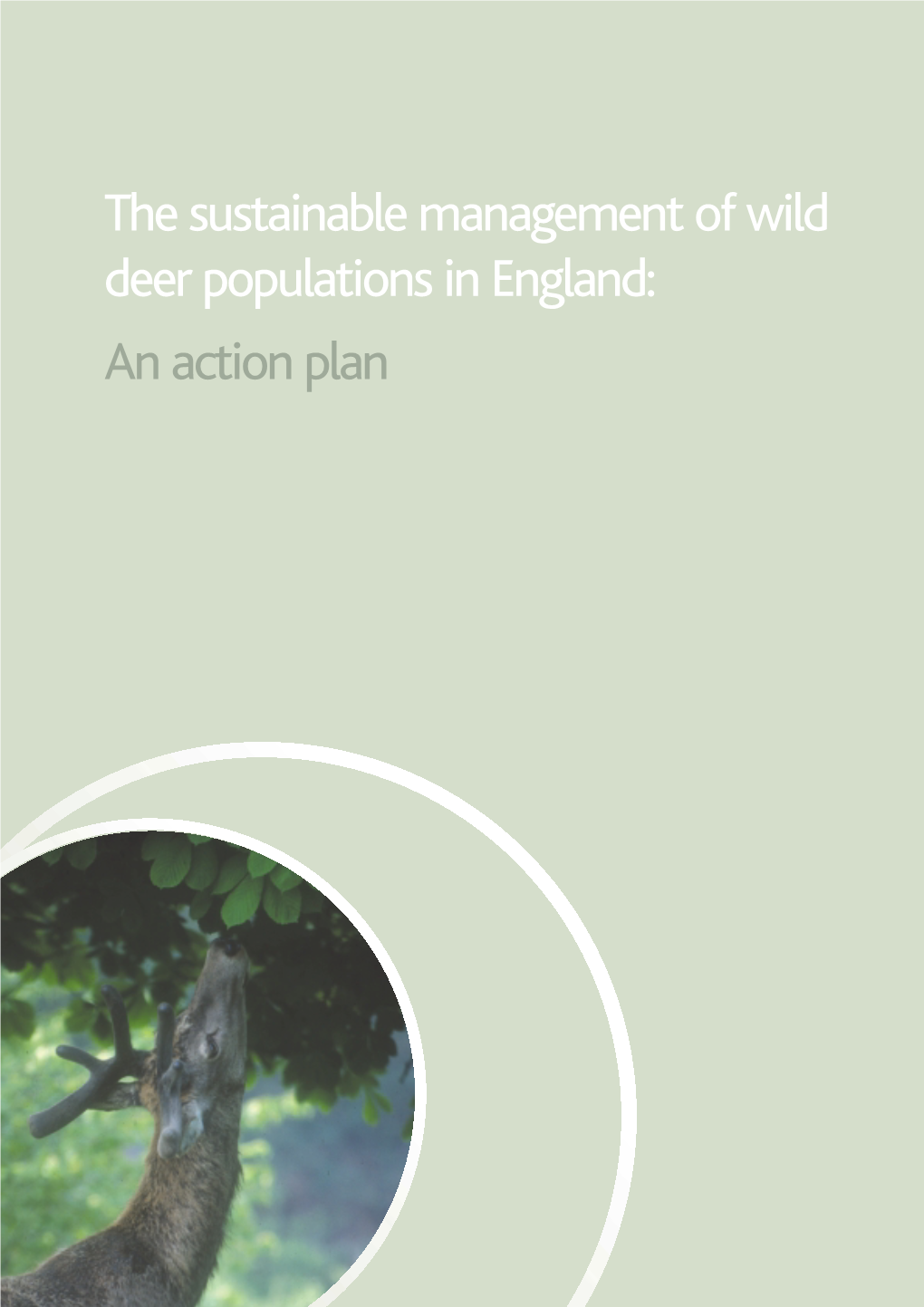 The Sustainable Management of Wild Deer Populations in England: an Action Plan Foreword