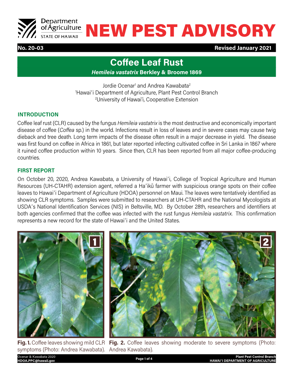 Coffee Leaf Rust Advisory