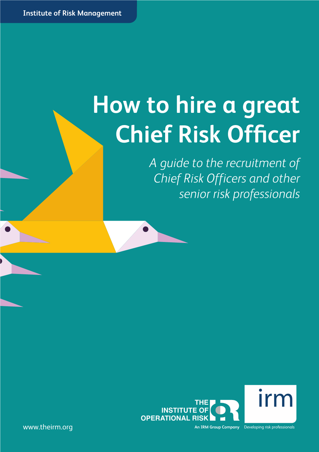How to Hire a Great Chief Risk Officer a Guide to the Recruitment of Chief Risk Officers and Other Senior Risk Professionals
