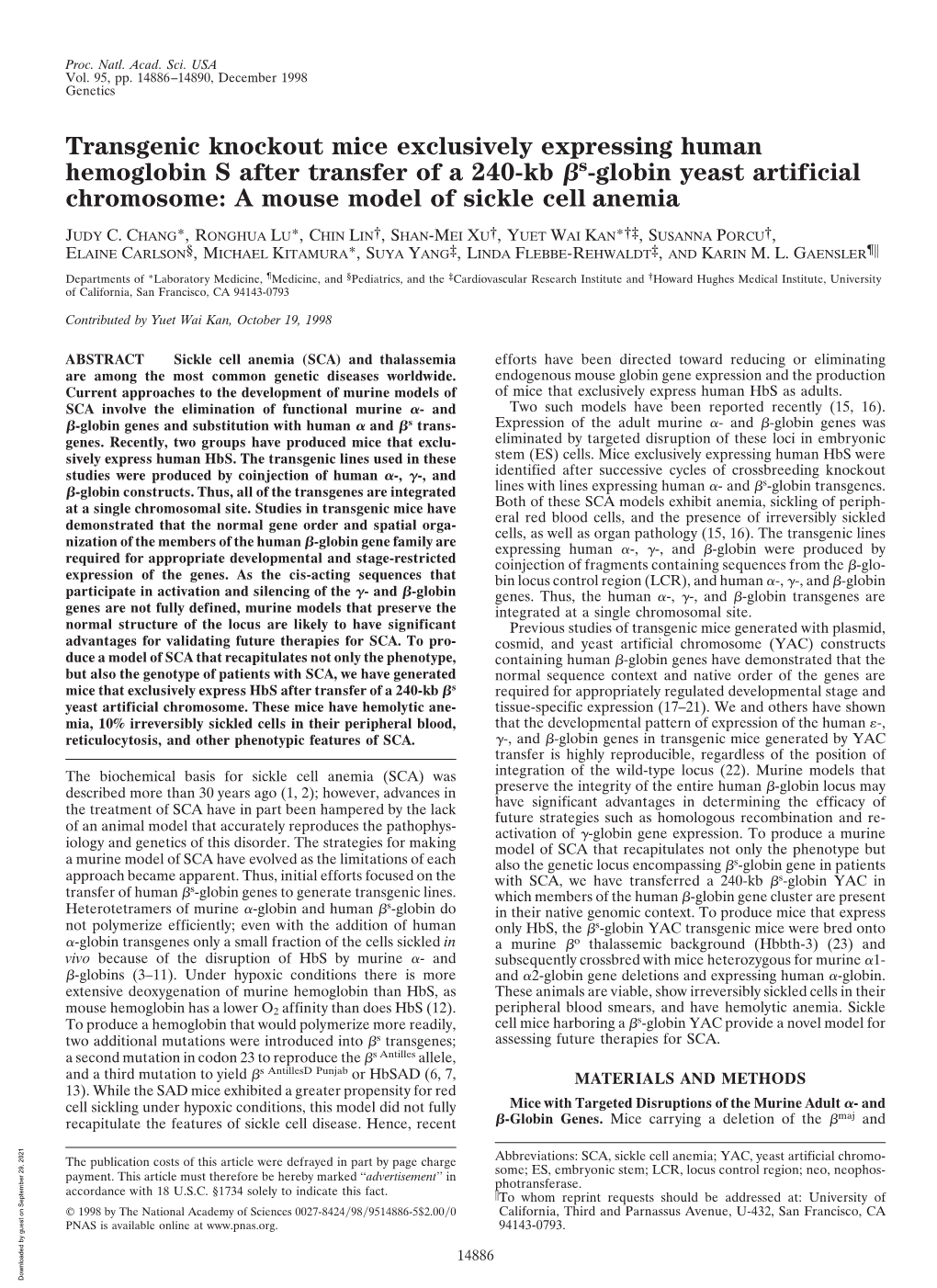 Transgenic Knockout Mice Exclusively Expressing Human Hemoglobin S After Transfer of a 240-Kb S-Globin Yeast Artificial Chromoso