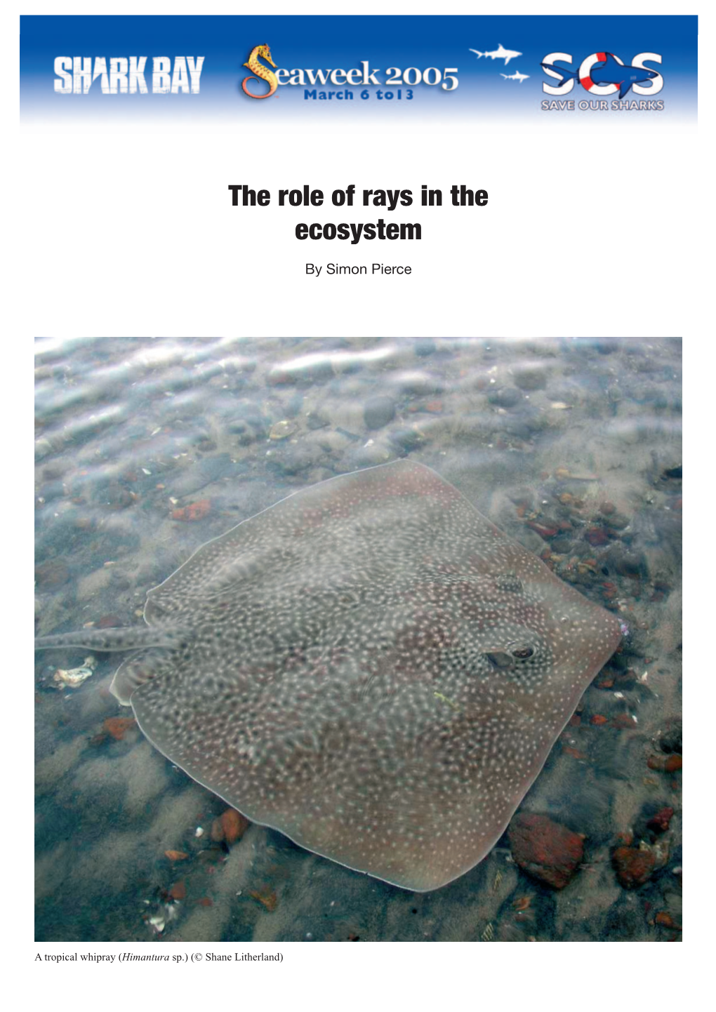 The Role of Rays in the Ecosystem