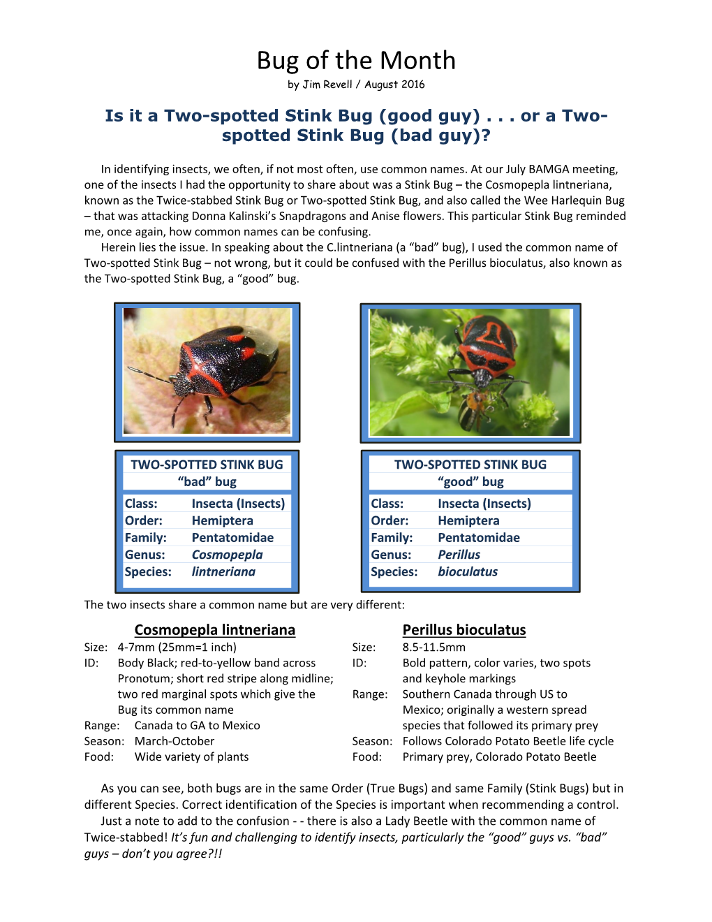 Bug of the Month by Jim Revell / August 2016 Is It a Two-Spotted Stink Bug (Good Guy)