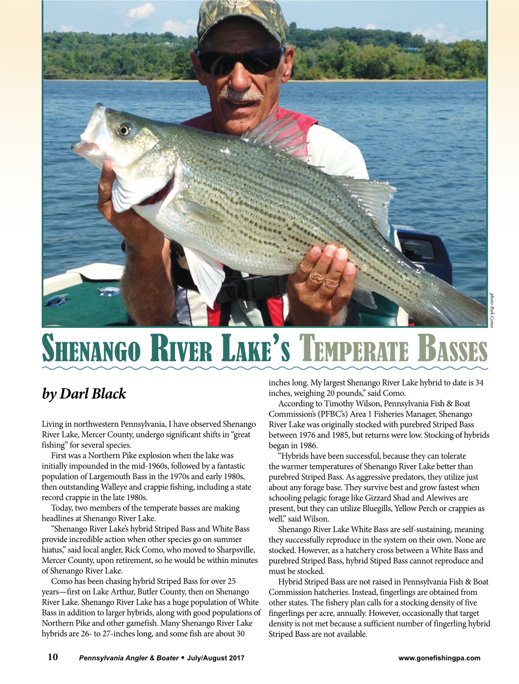 Shenango River Lake's Temperate Basses by Darl Black